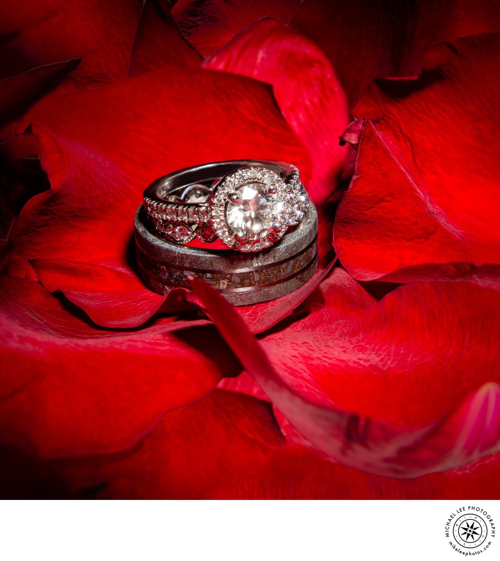 Michael Lee Photography