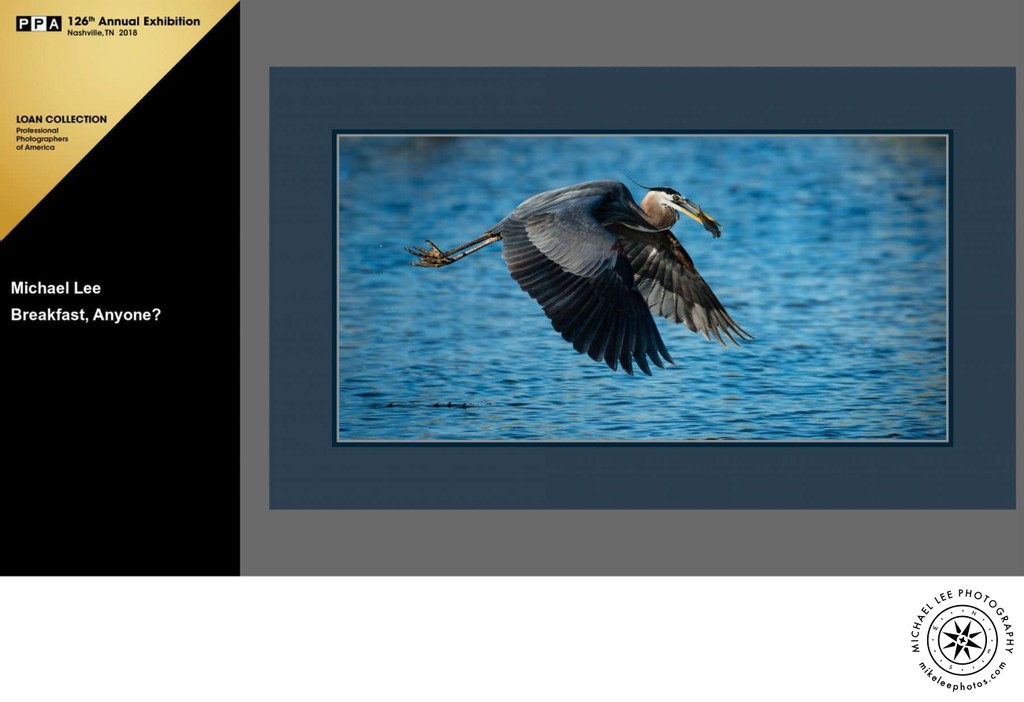 Michael Lee Photography