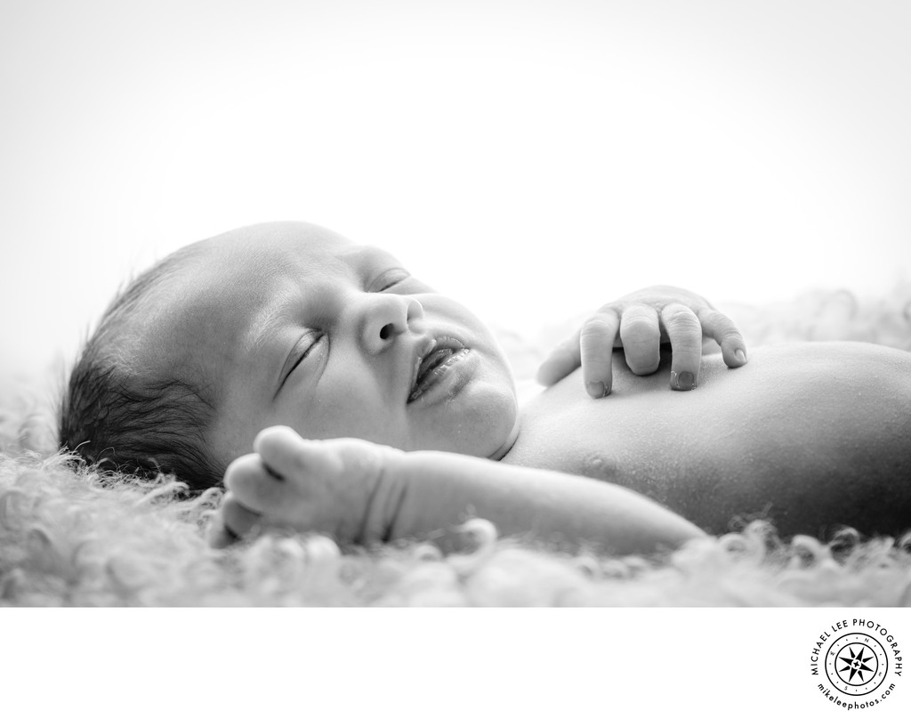 Michael Lee Photography