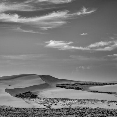 Michael Lee Photography
