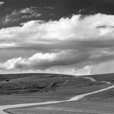 Michael Lee Photography