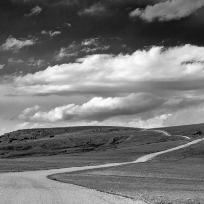 Michael Lee Photography
