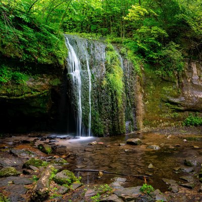 Michael Lee Photography