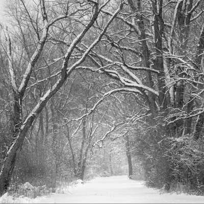 Michael Lee Photography