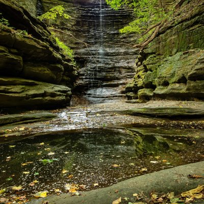 Michael Lee Photography