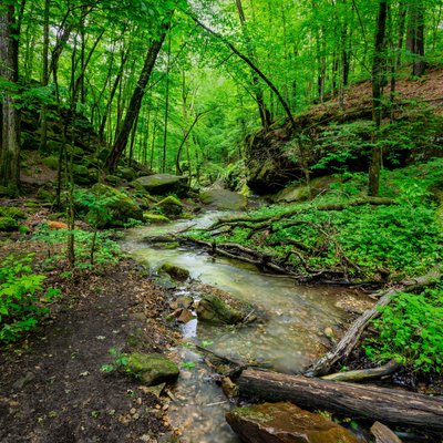 Michael Lee Photography