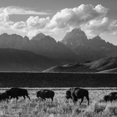 Michael Lee Photography