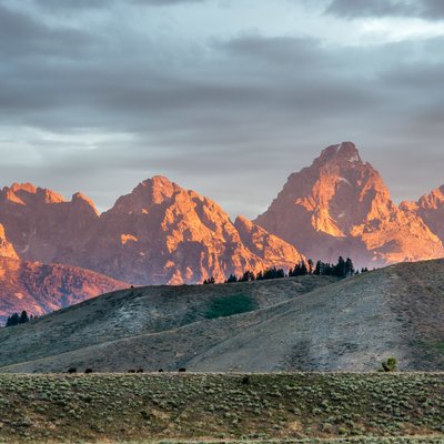 Michael Lee Photography