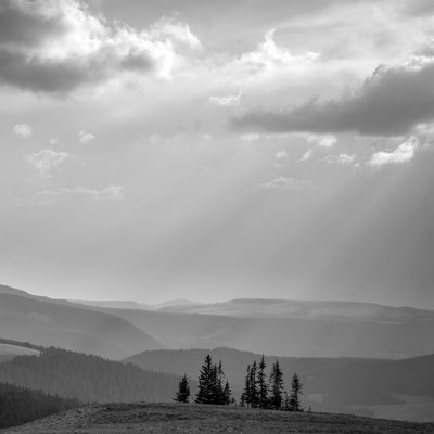Michael Lee Photography