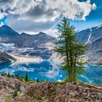 Michael Lee Photography