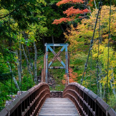 Michael Lee Photography