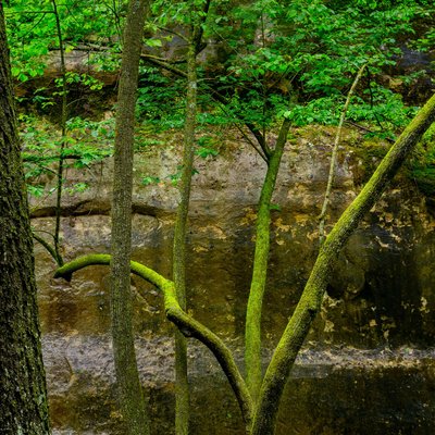 Michael Lee Photography