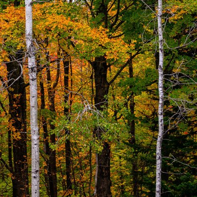 Michael Lee Photography