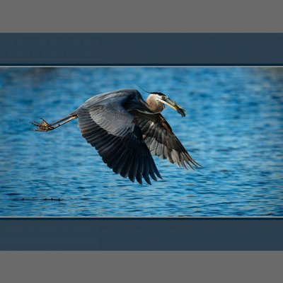 Michael Lee Photography