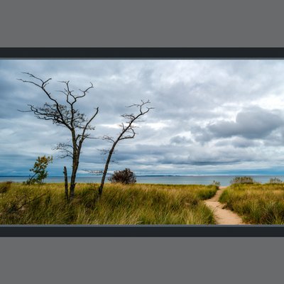 Michael Lee Photography