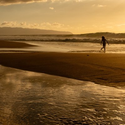 Michael Lee Photography