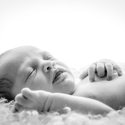 Michael Lee Photography