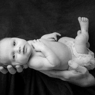 Michael Lee Photography