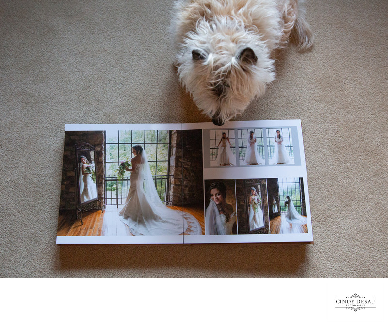  Wedding Albums