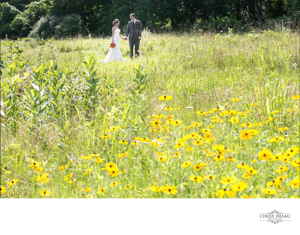 Bride and Groom in Field of Yellow at Holly Hedge Wedding