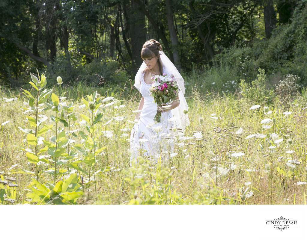 Bride Picks Wildflowers in New Hope Photographs