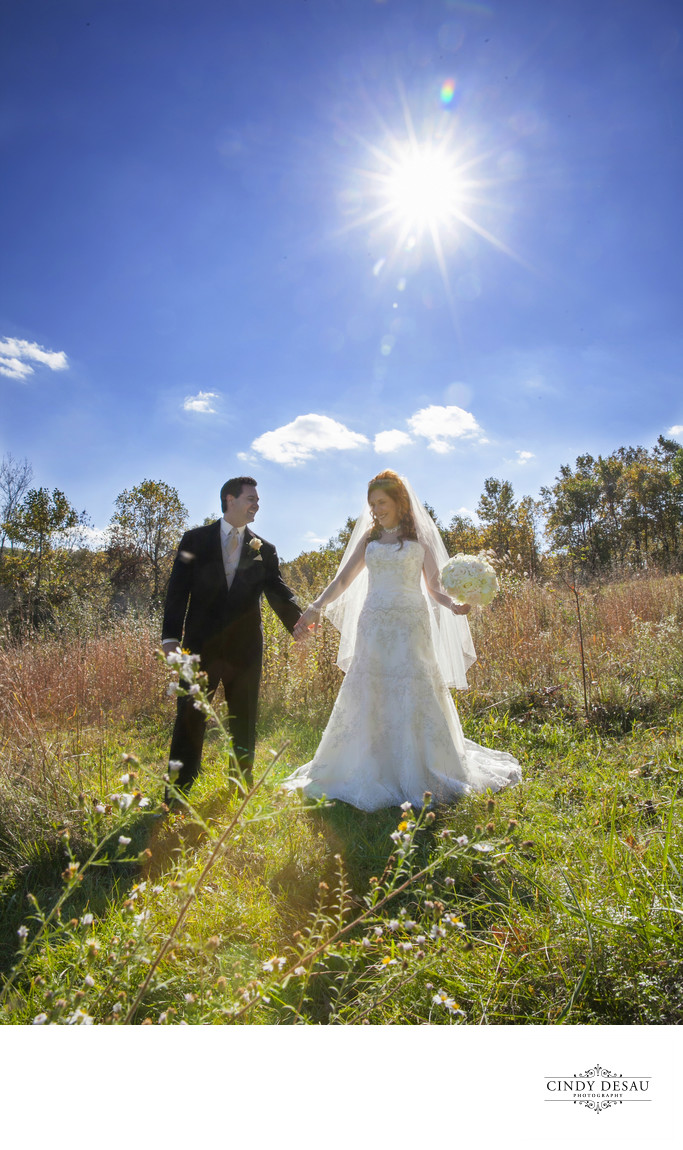Top New Hope Wedding Venues in the year 2023 Learn more here 