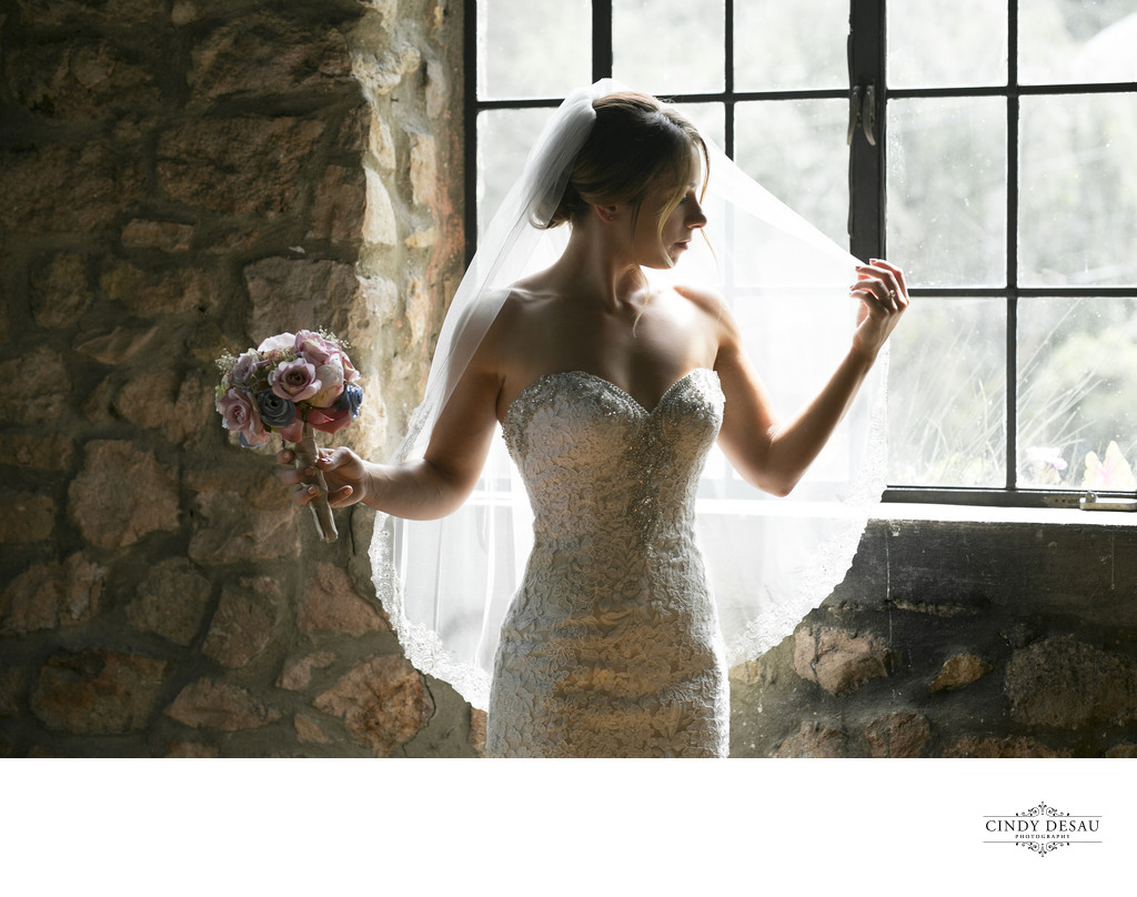 Picturesque Photo of Bride at Holly Hedge Estate