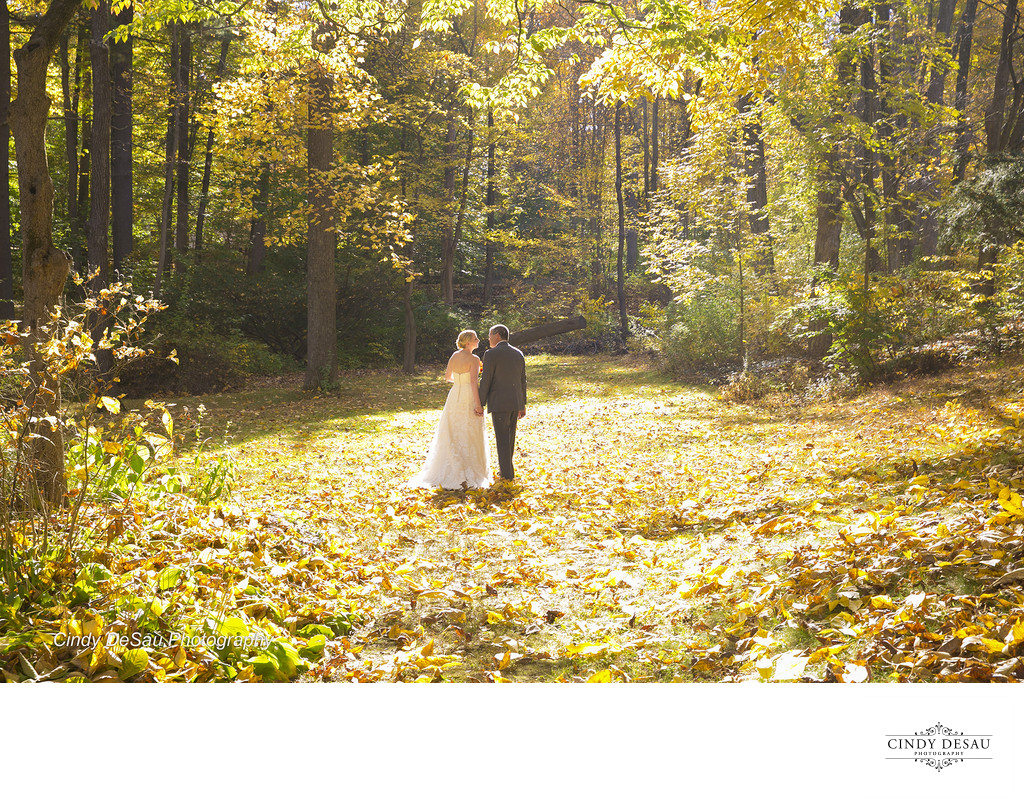 Scenic Wedding Photo in a Fall Meadow in Bucks County