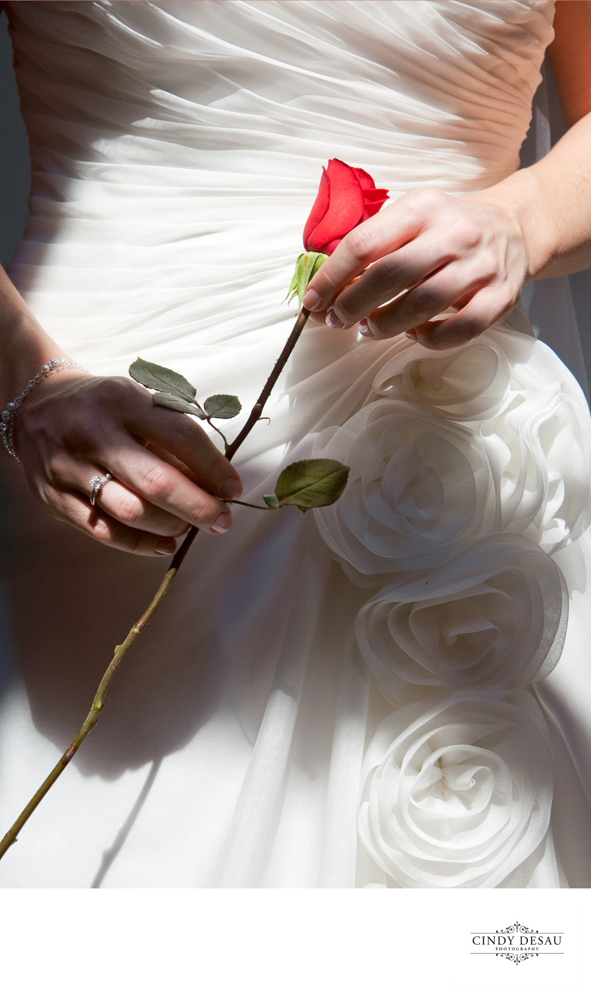 Stunning Detail Photo of Bride's Dress and Red Rose