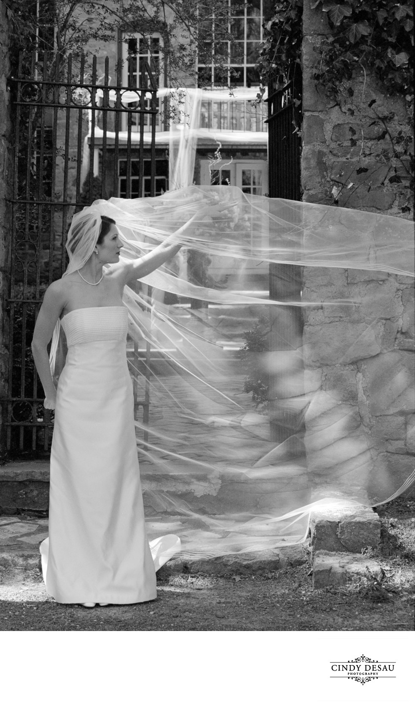 Playful Bride and Veil with Antique Gates at Holly Hedge