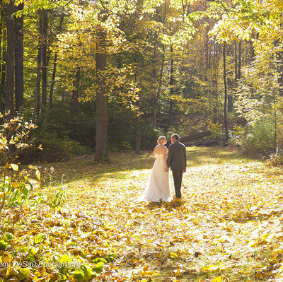 Scenic Wedding Photo in a Fall Meadow in Bucks County