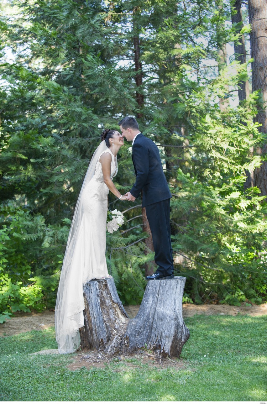 Nature Wedding Photography 