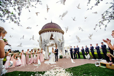 Best Wedding Photography Orange County