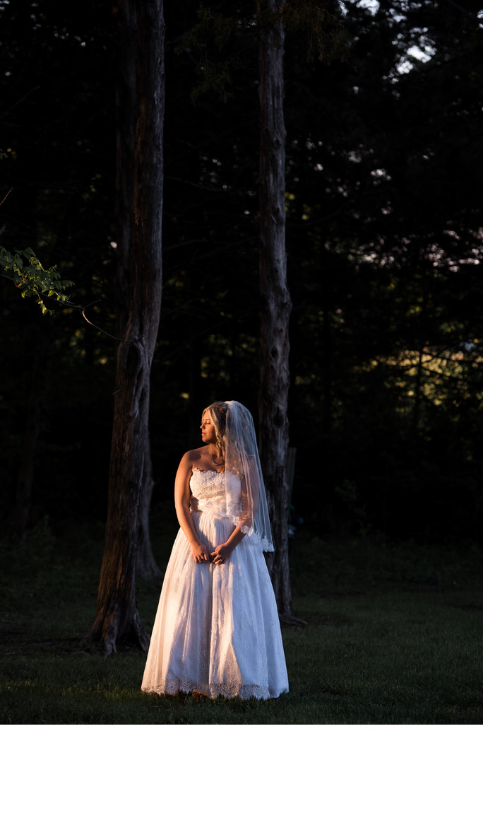 Samuel Cedar Wedding Photographer Springfield Missouri Samuel Cedar Wedding Photographer