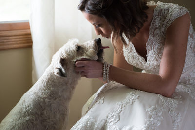 Wedding Photographer in Springfield