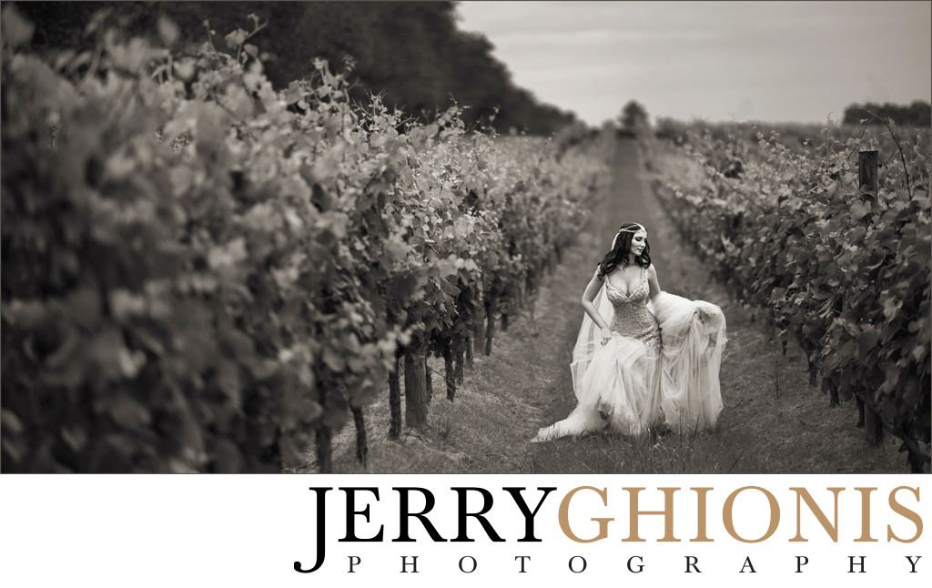 Wedding Photo of Bride in Winery