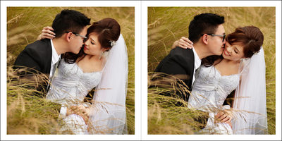 Bride and Groom in High Grasses