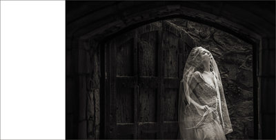 Bride Under Veil in Castle Doorway