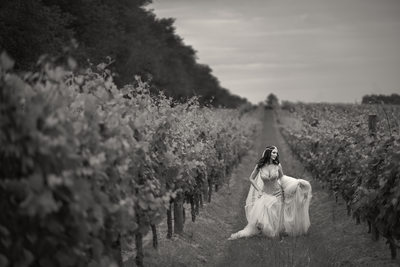 Vineyard Wedding Photos