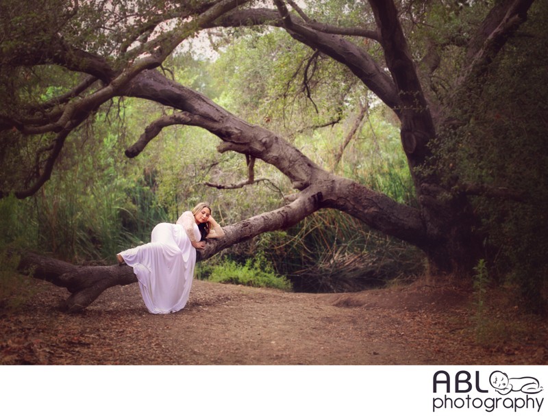 Expected mother laying in the tree