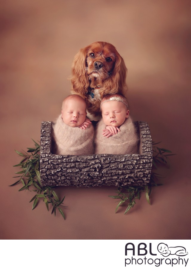 Newborn photos with dog in San Diego, CA