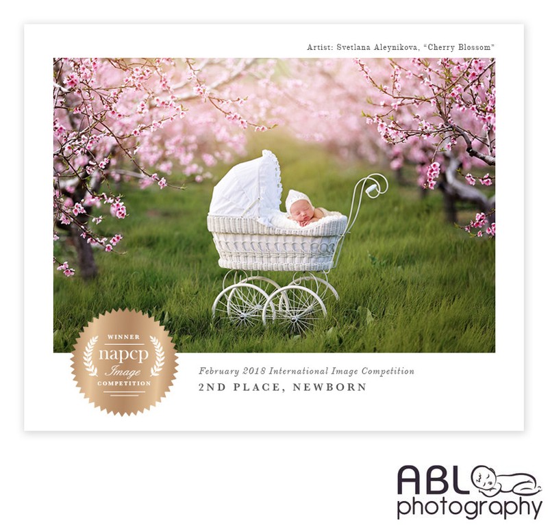 San Diego newborn photography baby in cherry blossom