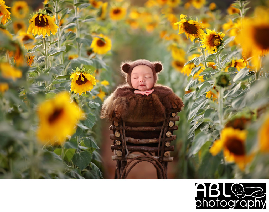 Sunflowers photo shoot, San Diego newborn photographer