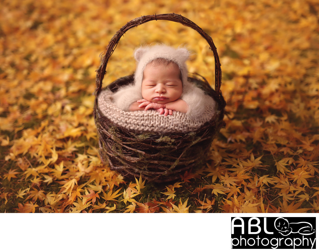 Baby basket fall colors San Diego outdoor newborn photo