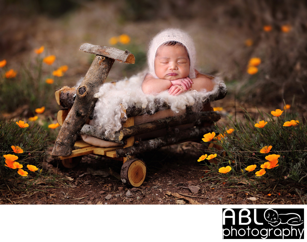 Baby wooden wagon, Best San Diego newborn photographers