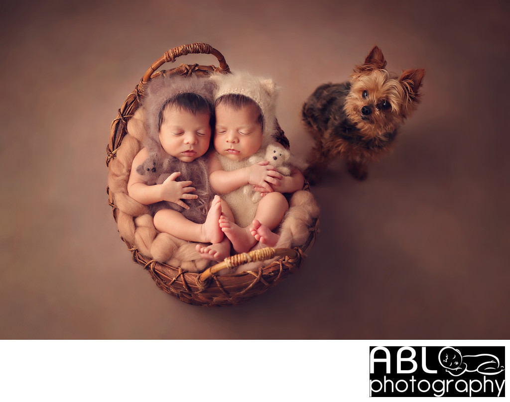 Twins baby and dog photographer in Poway, CA
