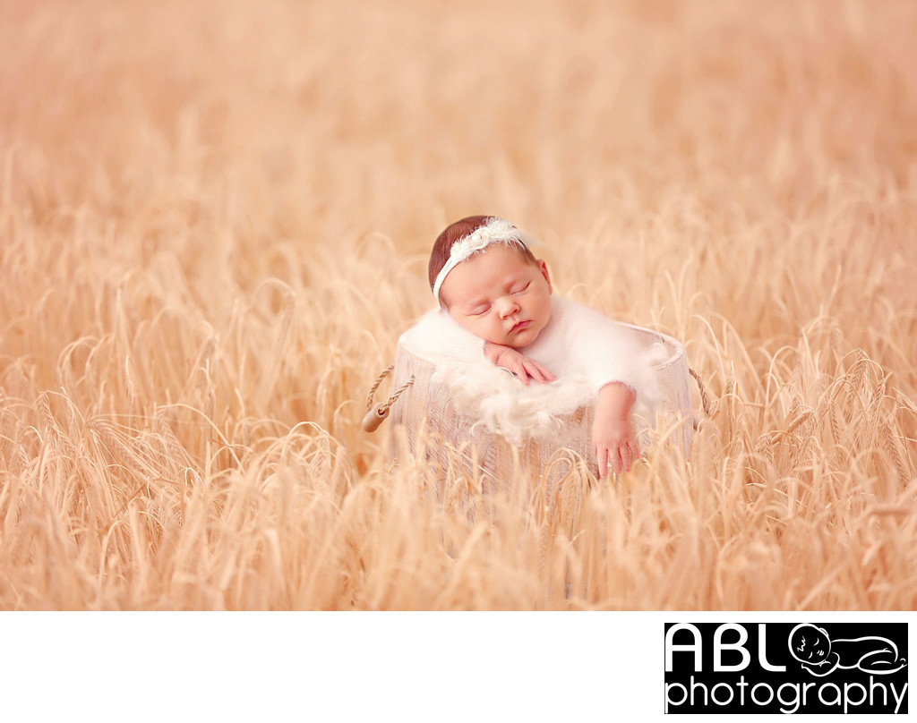 San Diego newborn photos, wild grass field photo shoot