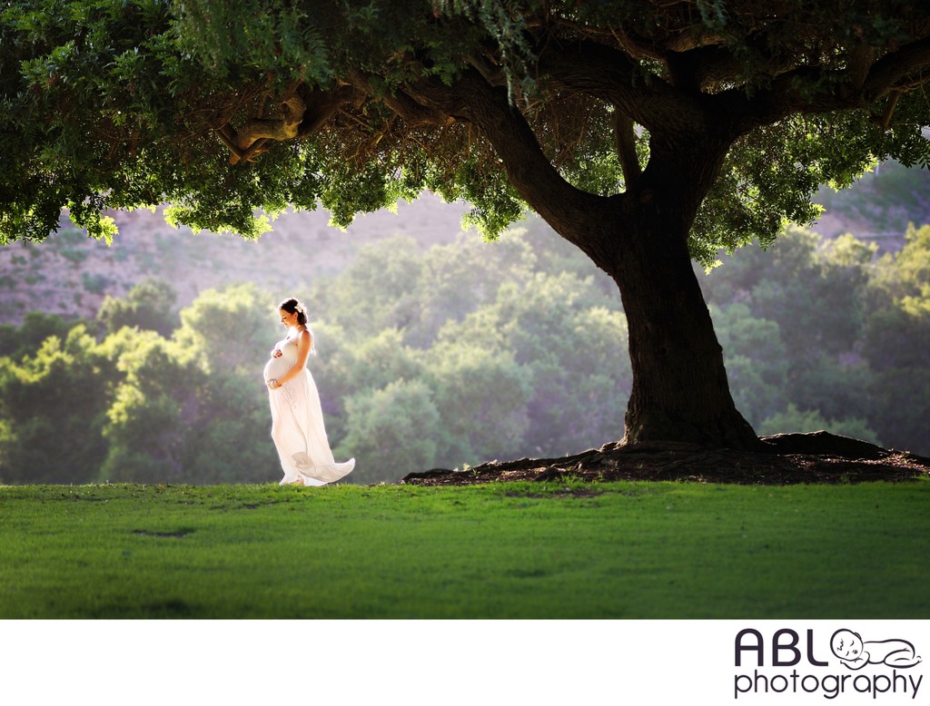 Maternity session under huge tree in Balboa Park