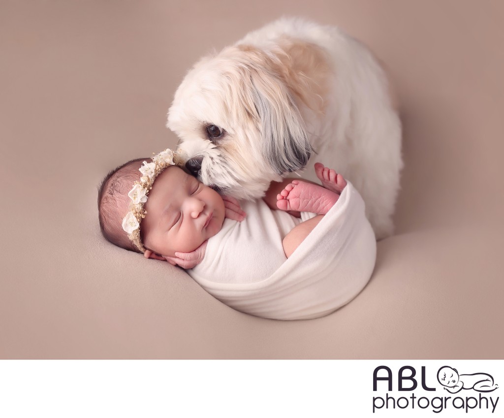 Baby with dog photography in San Diego, CA