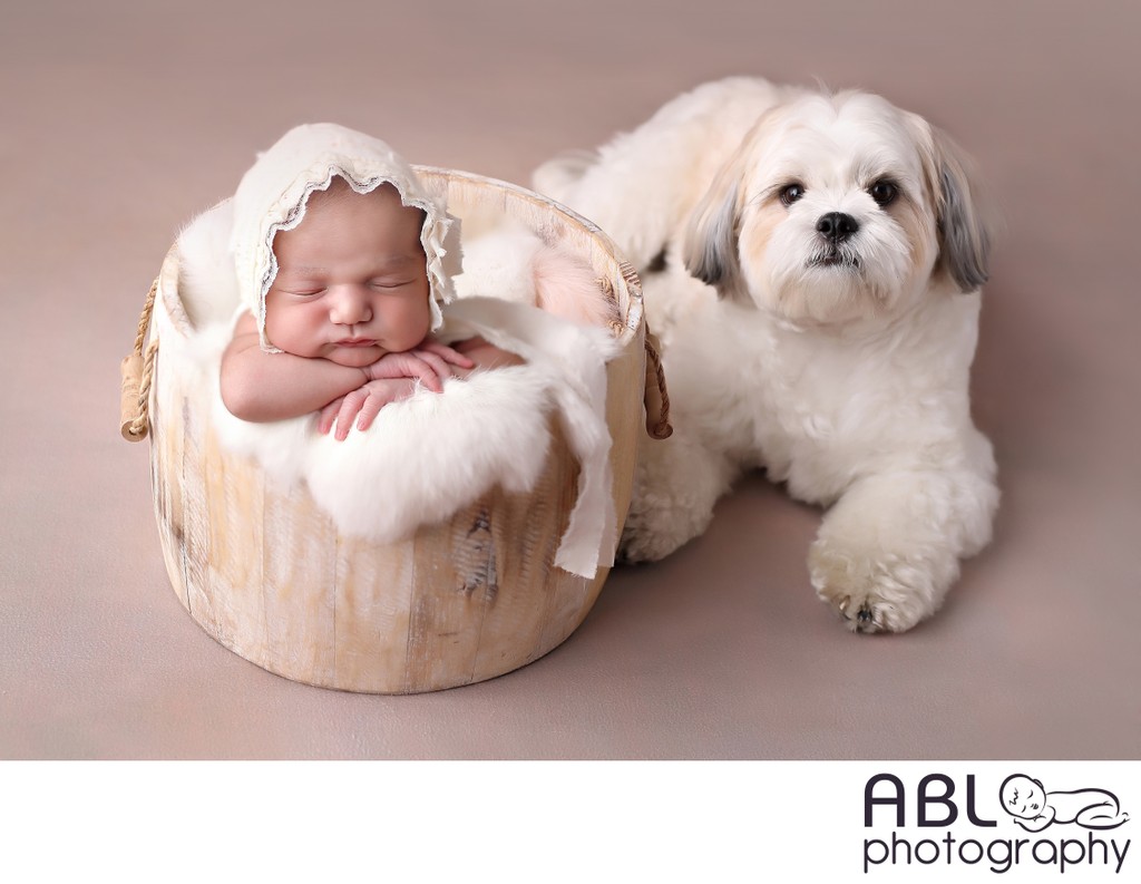 newborn with pet photography, photo studio in San Diego